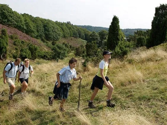 Bryrup Camping