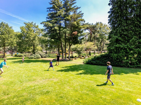 Kinderen spelen en gooien met een frisbee op een groot, zonovergoten grasveld bij Vakantiepark De Bergen.