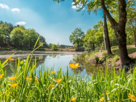 vakantiepark-de-bergen.jpg