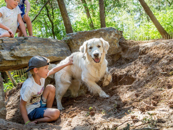 Jongen aait zijn hond in de bosrijke omgeving van het huisdiervriendelijke Vakantiepark De Bergen.