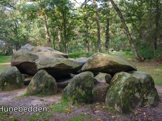 Een historisch hunebed in het bos van Drenthe nabij Kniepe