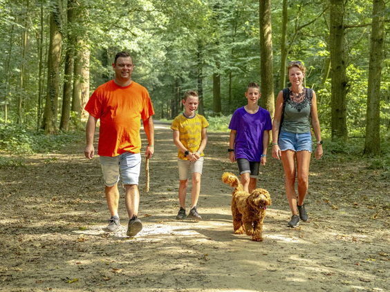 Gezin maakt een boswandeling in de natuur rondom de camping
