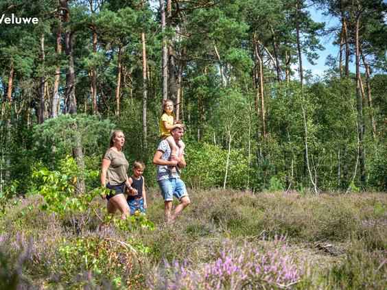 Kinderen spelen tussen de bomen in de bosrijke omgeving van de Veluwe