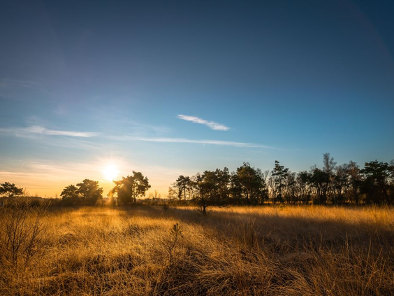 De zon gaat onder boven de uitgestrekte en goudkleurige Strabrechtse Heide, het natuurgebied direct naast Vakantiepark De Strabrechtse Vennen.