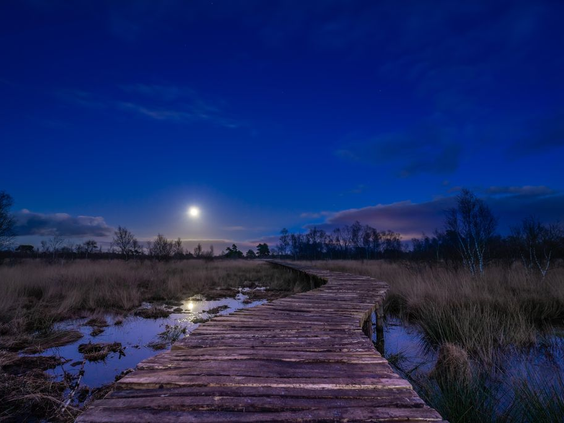 Een houten vlonderpad door het veengebied van de Strabrechtse Heide tijdens een heldere nacht met de maan aan de hemel.