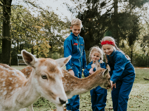 Drie kinderen in boeren-overalls voeren en aaien de lieve damhertjes op Vakantiepark Dierenbos