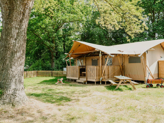 Een avontuurlijke lodgetent met veranda, gelegen op een open plek in het bos op Vakantiepark Dierenbos.