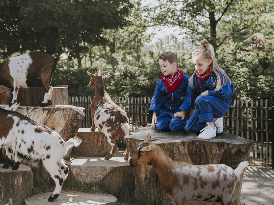 Twee kinderen in blauwe overalls zitten op boomstam naast geiten in de kinderboerderij van Vakantiepark Dierenbos