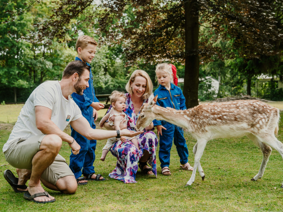 Een compleet gezin met drie kinderen in boeren overalls voert een damhert op het gras bij Vakantiepark Dierenbos.
