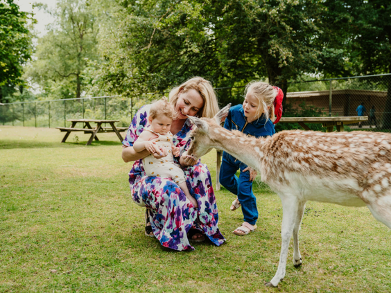 Een moeder met haar baby en zoon aaien een lief damhertje dat heel dichtbij komt op Vakantiepark Dierenbos.