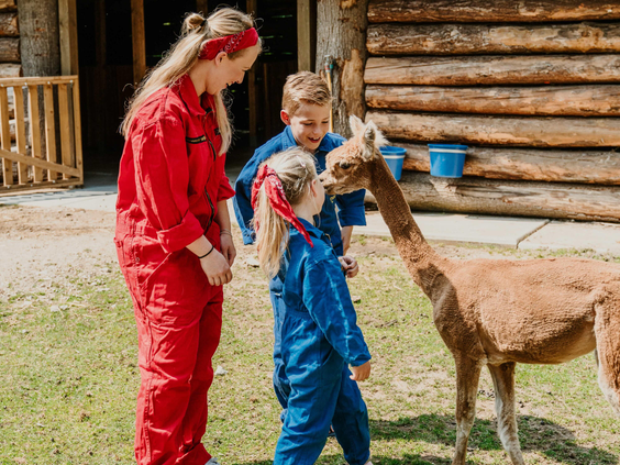 Drie kinderen in gekleurde overalls maken kennis met een nieuwsgierige alpaca bij de boerderij van Vakantiepark Dierenbos.