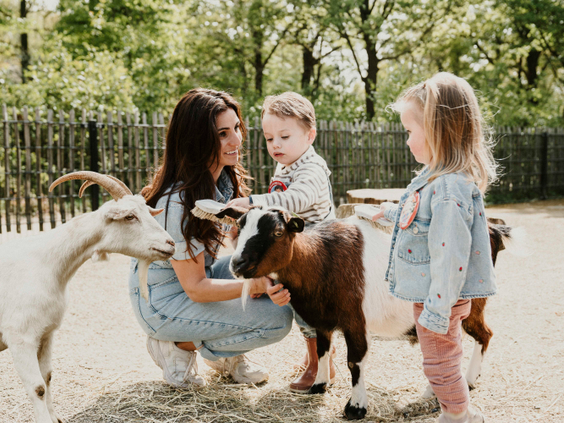 Een moeder met haar twee jonge kinderen aaien een klein, bruin geitje op de kinderboerderij van Vakantiepark Dierenbos.