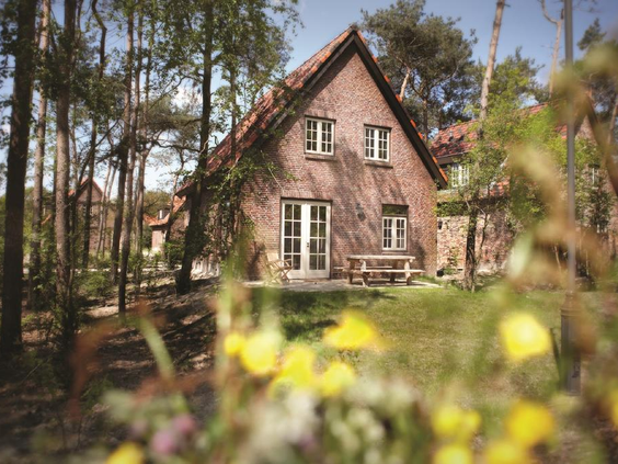 Vrijstaand Dorpshuys of Boshuys in Efteling Bosrijk, verscholen tussen de bomen en gele bloemen.