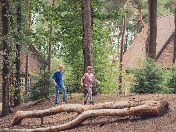 Twee kinderen klimmen en klauteren op boomstammen in de bosrijke en natuurlijke omgeving van Efteling Bosrijk.