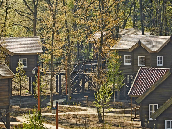 Hoofdafbeelding herfst.jpg