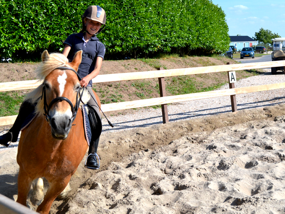 Een kind rijdt op een pony in de buitenbak van de manege op Vakantiepark Eiland van Maurik.