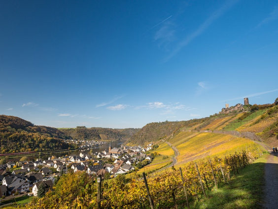 Vakantiepark Hambachtal