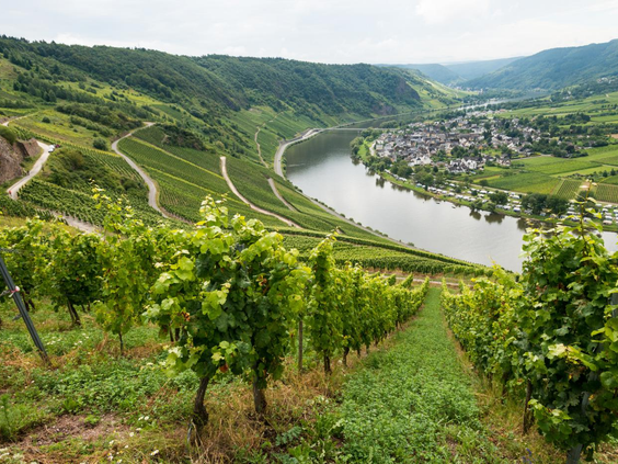 Vakantiepark Hambachtal