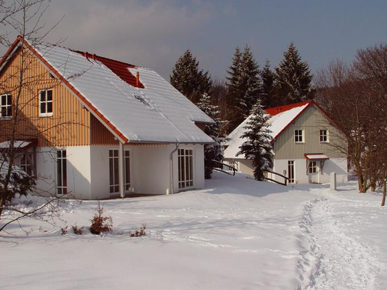 De sfeervolle vakantiehuizen van Vakantiepark Hasseröder, bedekt met een dik pak sneeuw in de bosrijke omgeving van de Harz.