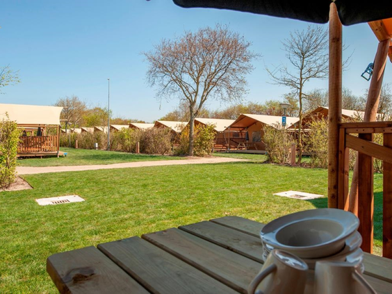 vakantiepark-hof-domburg (2).jpg