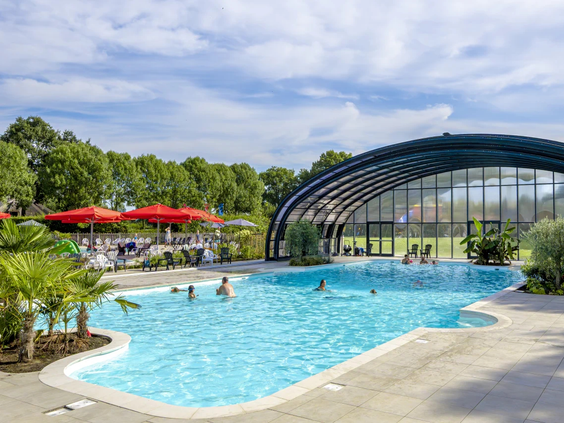 Het zonneterras bij het zwembad met ligbedden en palmbomen op Capfun IJsselstrand