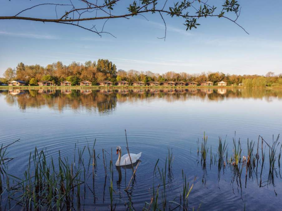 Vakantiepark Lake Pochard Lodges