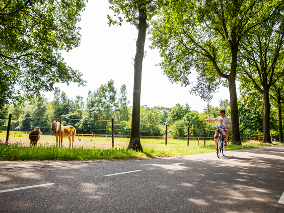 Een fietser met een kind in een kinderzitje rijdt over een fietspad door de bosrijke omgeving van Cromvoirt, nabij Vakantiepark Leuvert.
