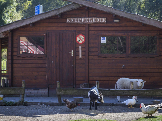 De knuffelhoek op de kinderboerderij van Vakantiepark Marina Beach, met geitjes, schapen en eenden.
