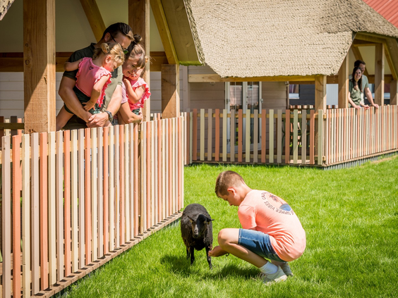 Vakantiepark Molenwaard