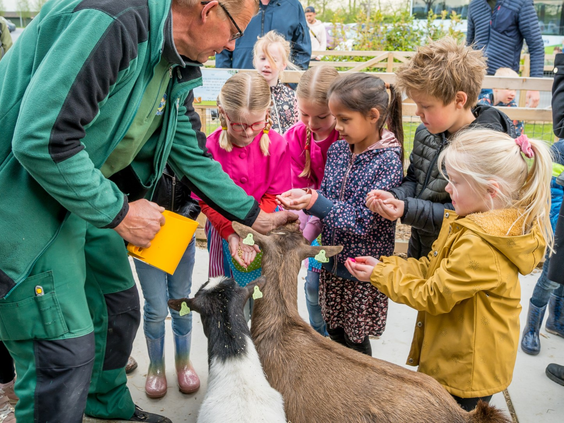 Vakantiepark Molenwaard
