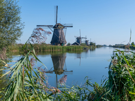 Vakantiepark Molenwaard
