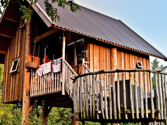 De buitenkant van een luxe houten boomhut met een ruim terras, gelegen aan de rivier de Regge op Vakantiepark Molke.