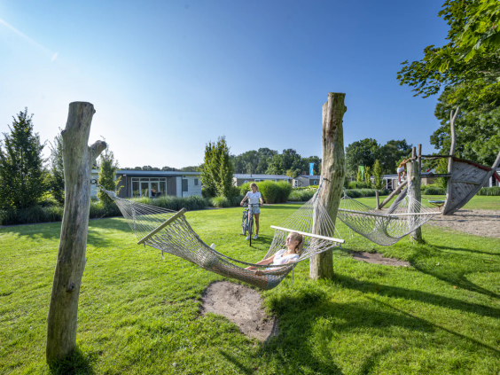 Ontspannen in hangmatten op het groene kampeerveld van de Ponderosa