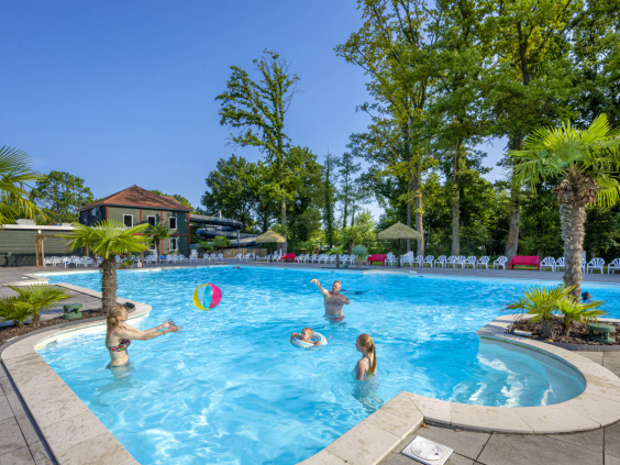 Verfrissend buitenzwembad met palmbomen en ligstoelen op de camping