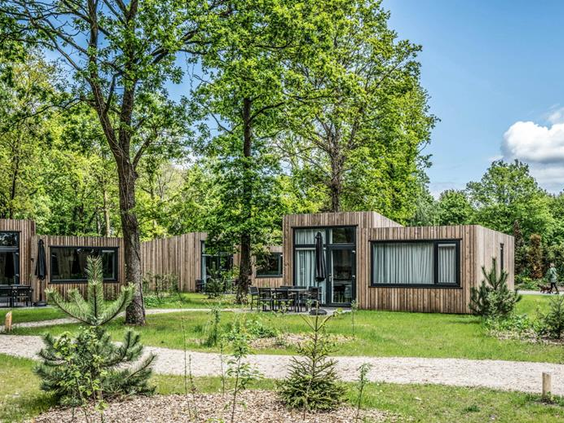 Moderne, houten boslodges verscholen in het groen van de Brabantse natuur op Vakantiepark Schaijk.