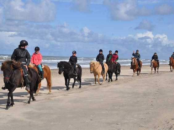 Vakantiepark Denemarken - Skallerup Seaside Resort