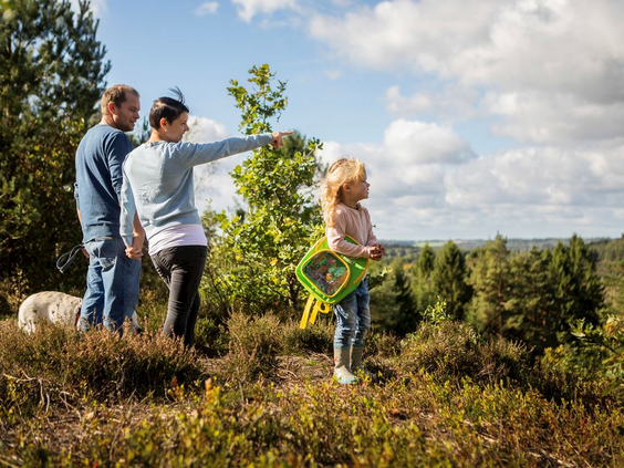 Vakantiepark Søhøjlandet