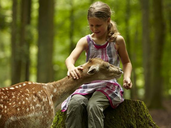 Vakantiepark Tripsdrill