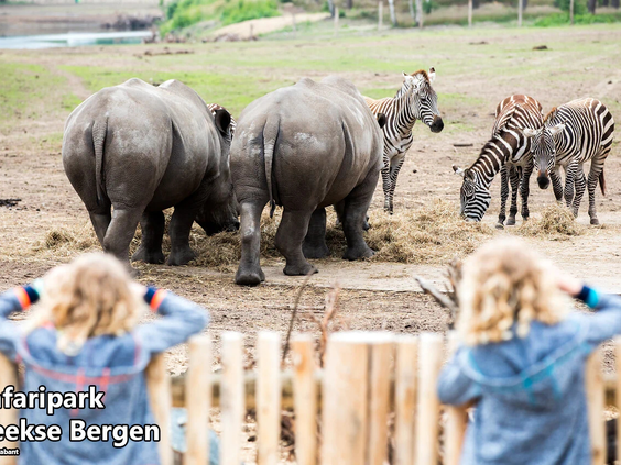 Kinderen kijken naar neushoorns in een nabijgelegen dierenpark