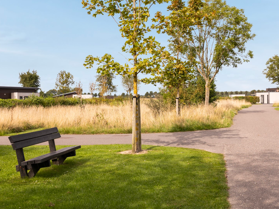 Een rustig wandelpad met een bankje op het groen en ruim opgezette Vakantiepark Zeedijk.
