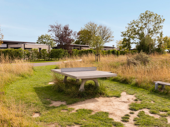 Betonnen tafeltennistafel voor buiten op een speelveld van Vakantiepark Zeedijk, ideaal voor kinderen en gezinnen.