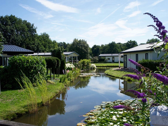 Luxe lodges en chalets gelegen aan de oever van een vijver op het park