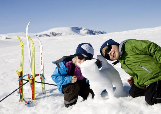 Geilolia Hyttetun - Geilo - Noorwegen - Wintersport