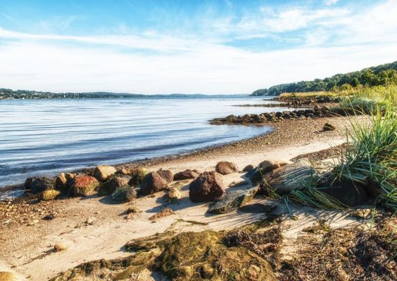 Vejle City Camp