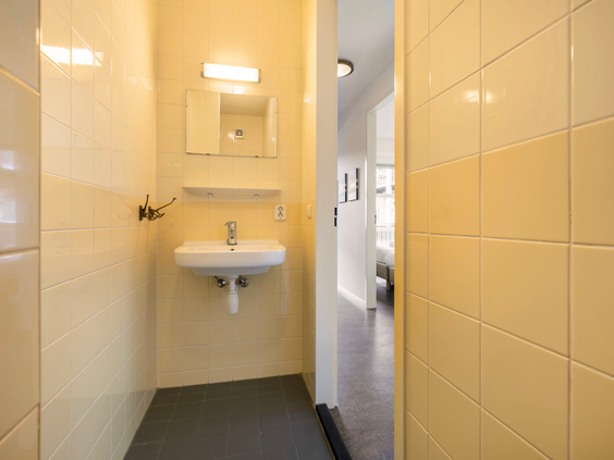 Nette, aparte toiletruimte met wastafeltje in een waterwoning van Waterpark Terherne in Friesland.