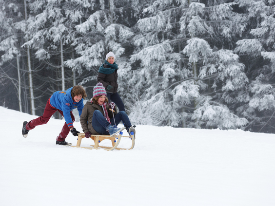 Een familie glijdt met een houten slee lachend van een besneeuwde heuvel in de omgeving van Winterberg.