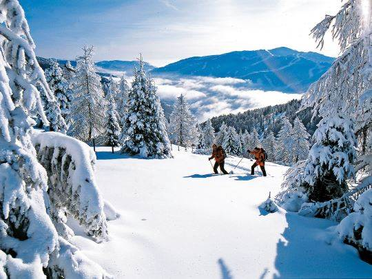 Landal Bad Kleinkirchheim