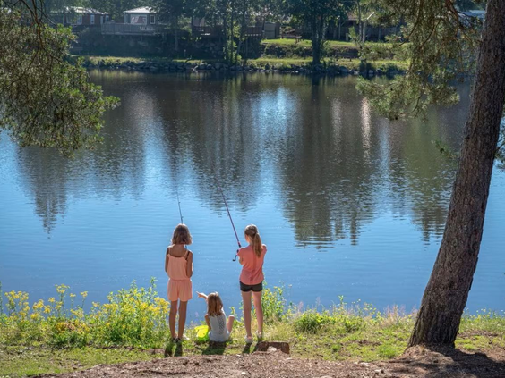 Camping Domaine des Bans