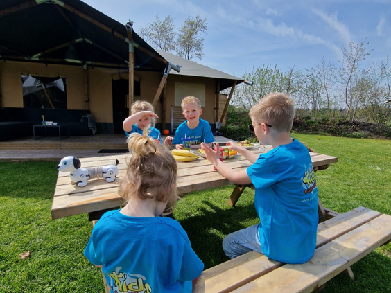 Kampeerdorp De Zandstuve