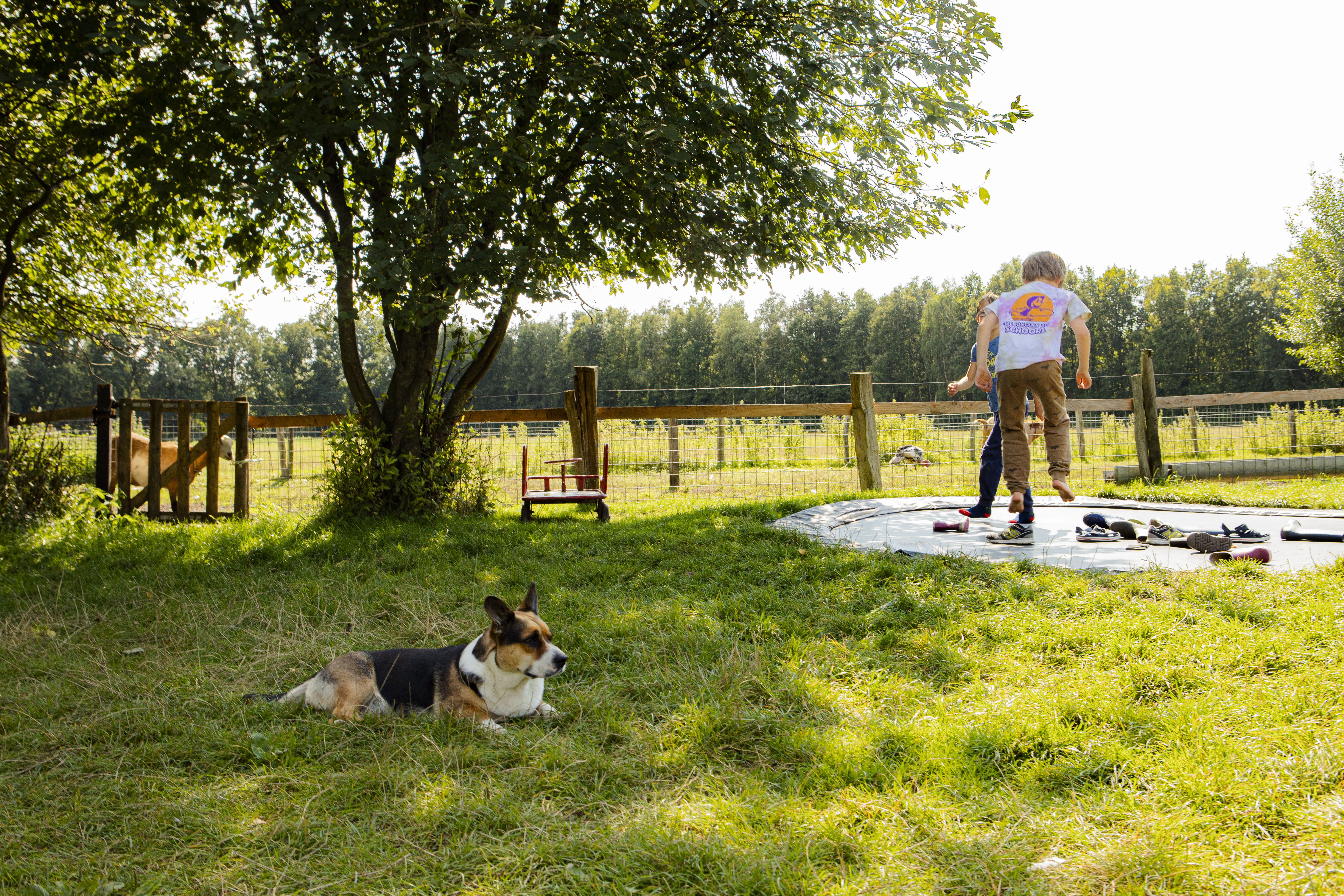 BoerenBed De Lange Weide